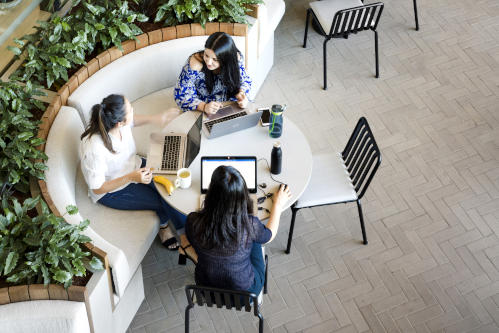 A top-down view of an indoor office breakout area at Festival Tower, surrounded by green potted plants.